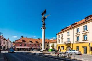 Апартаменты Angel House Vilnius 40 Вильнюс Апартаменты в пентхаусе-21